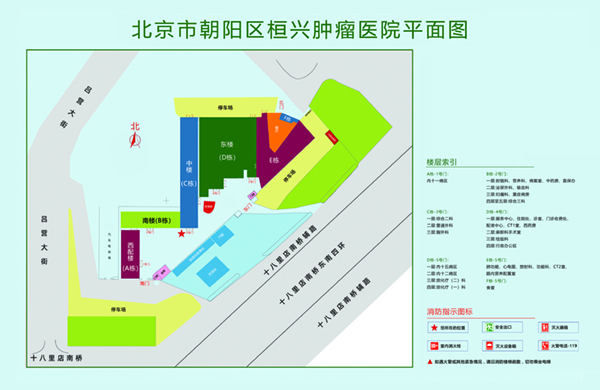 男人透女人播放器免费软件北京市朝阳区桓兴肿瘤医院平面图